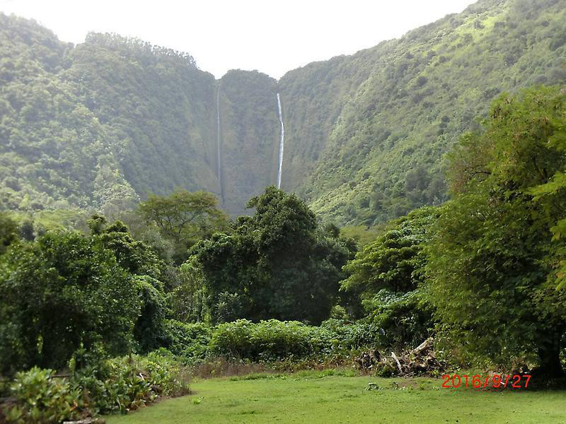 image10